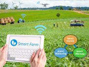 Da Nang wants to be a digital and biotech hub Da Nang biotech focuses on smart farming
