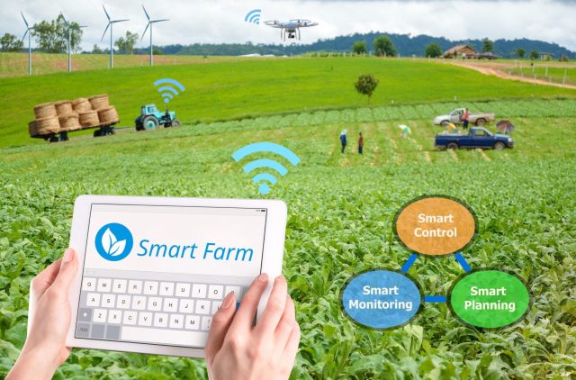 Da Nang biotech focuses on smart farming