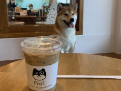 Coffee goes to the dogs at the shiba inu café on Ekkamai