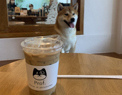 Coffee goes to the dogs at the shiba inu café on Ekkamai