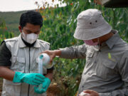 Pandawa Agri Indonesia unveils framework to accelerate sustainable agriculture PAI accelerate sustainable agriculture