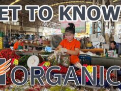 Thai proptech startup Horganice wants to solve a major real estate challenge